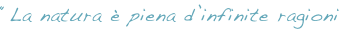 shapeimage_4_link_0