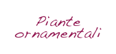 Piante 
ornamentali